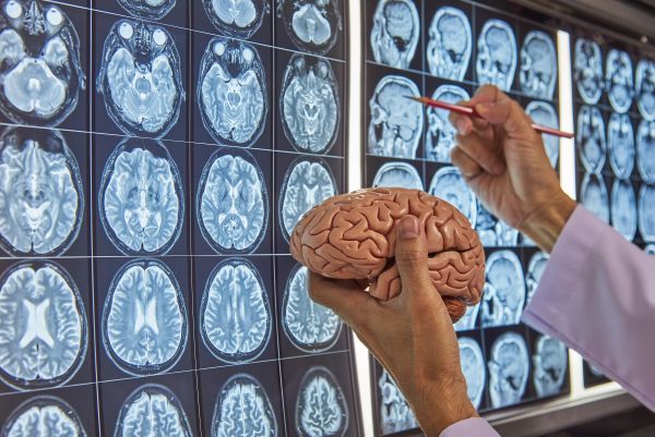 neurosurgery Palm Harbor, FL